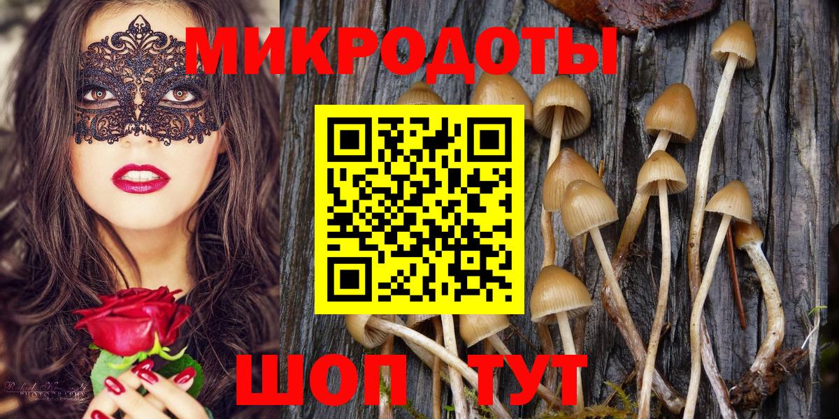 Галлюциногенные грибы мицелий Малоярославец