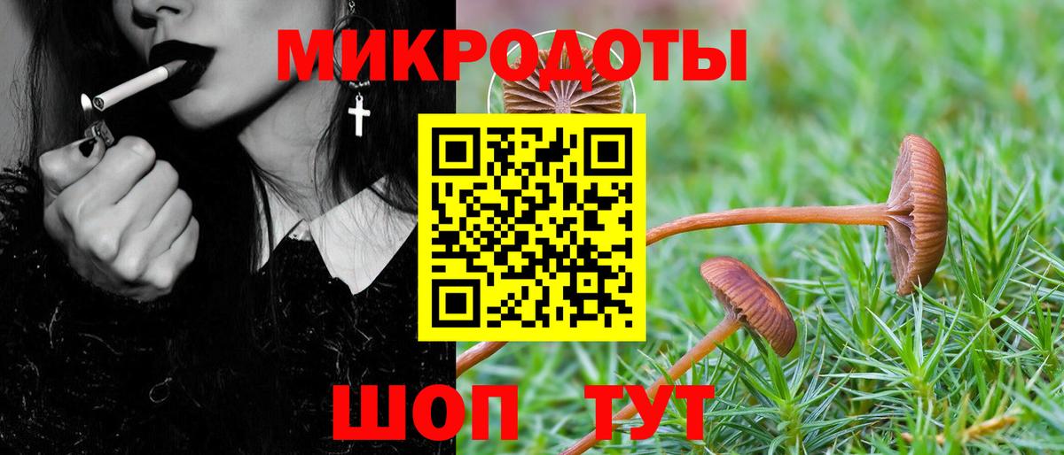 Малоярославец  Псилоцибиновые грибы мухоморы  Вход с VPN 